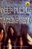 In the Dark Purple Disco Machine & Sophie and the Giants