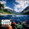 My Heart Goes Sam Feldt feat Oaks